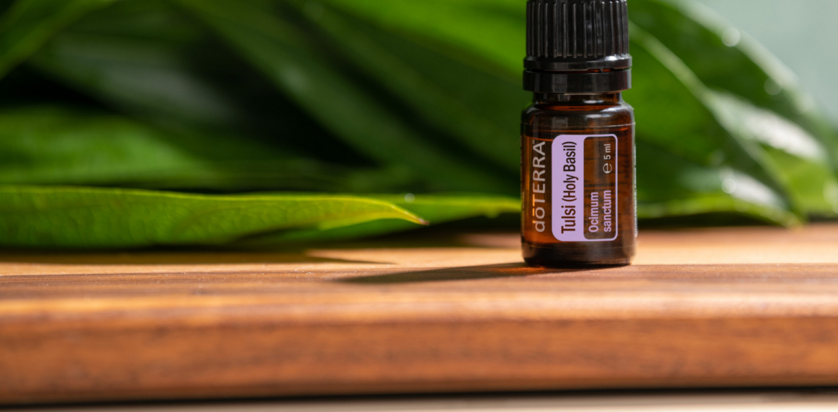 DoTerra Tulsi Holy Basil Bazalka posvátná 5 ml