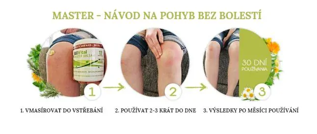 Hillvital Master balzám bolest kloubů, svalů, zad 250 ml