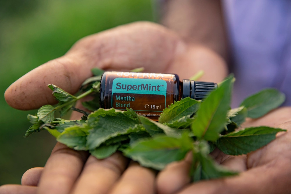 DoTerra SuperMint 15 ml