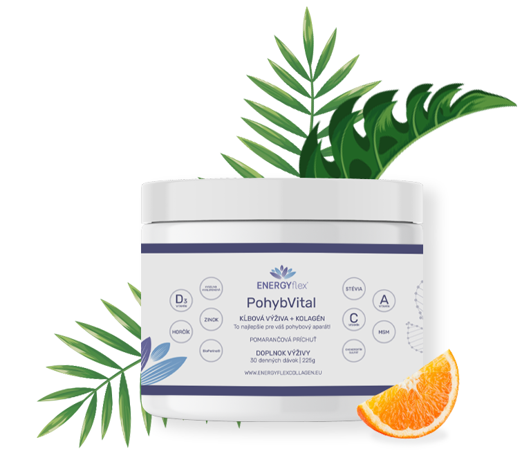 EnergyFlex PohybVital 30 dávek (1 měsíc)