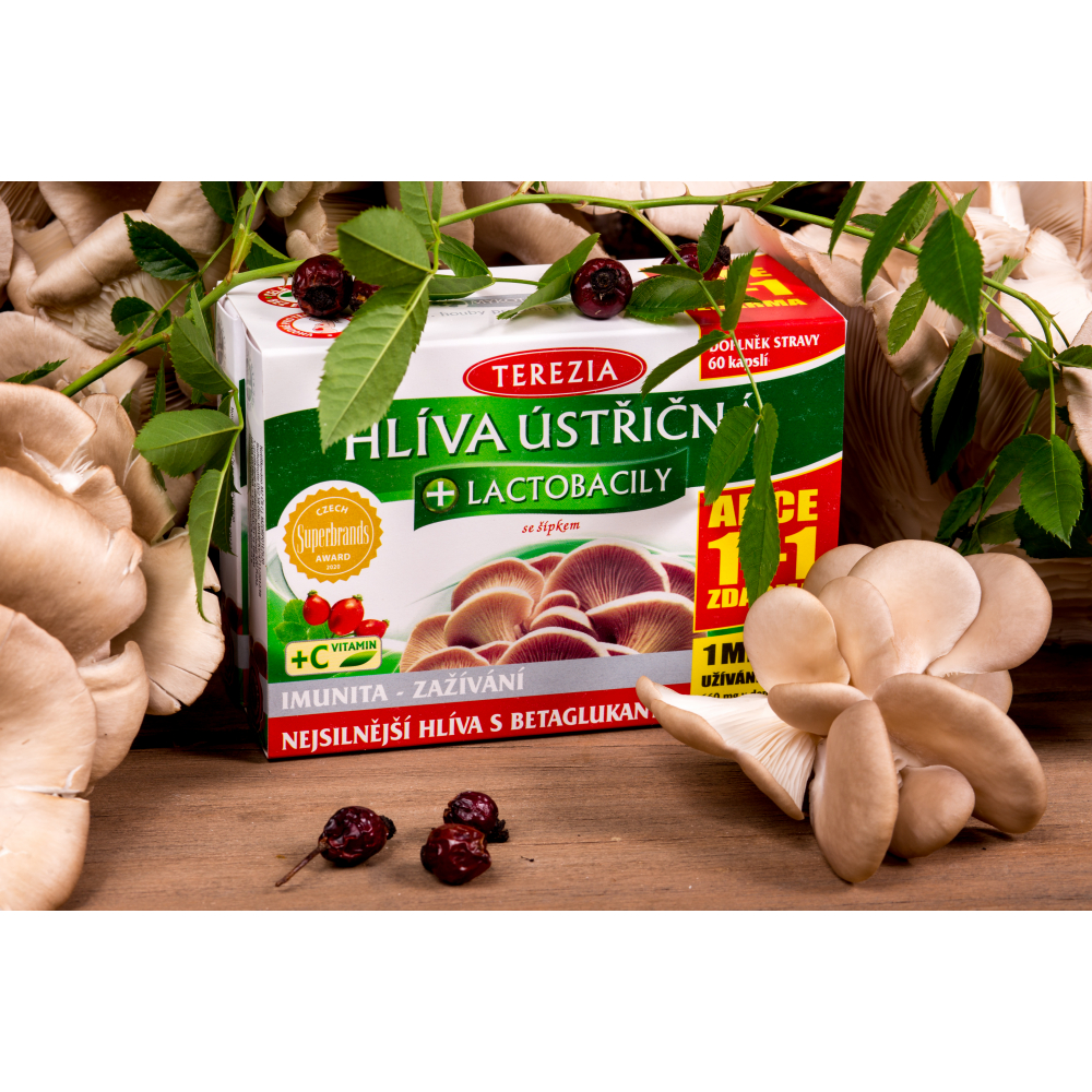 Terezia Company Hlíva ústřičná s lactobacily 120 tablet
