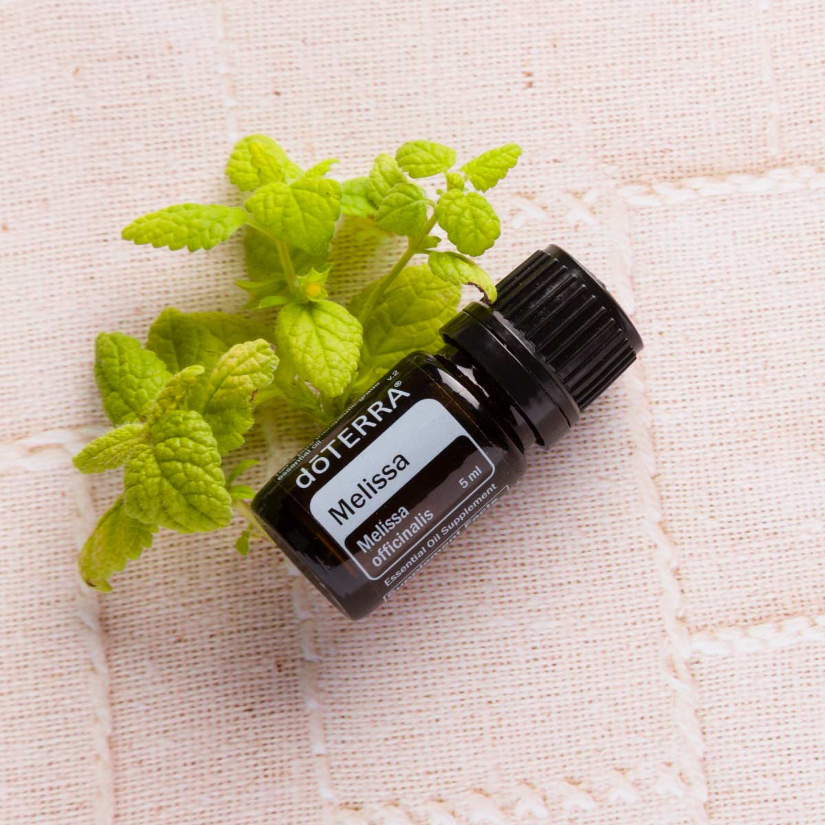 doTERRA Esenciální olej Meduňka 5 ml