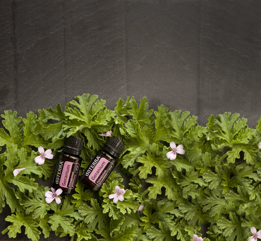 DoTerra esenciální olej Geranium Muškát 15 ml