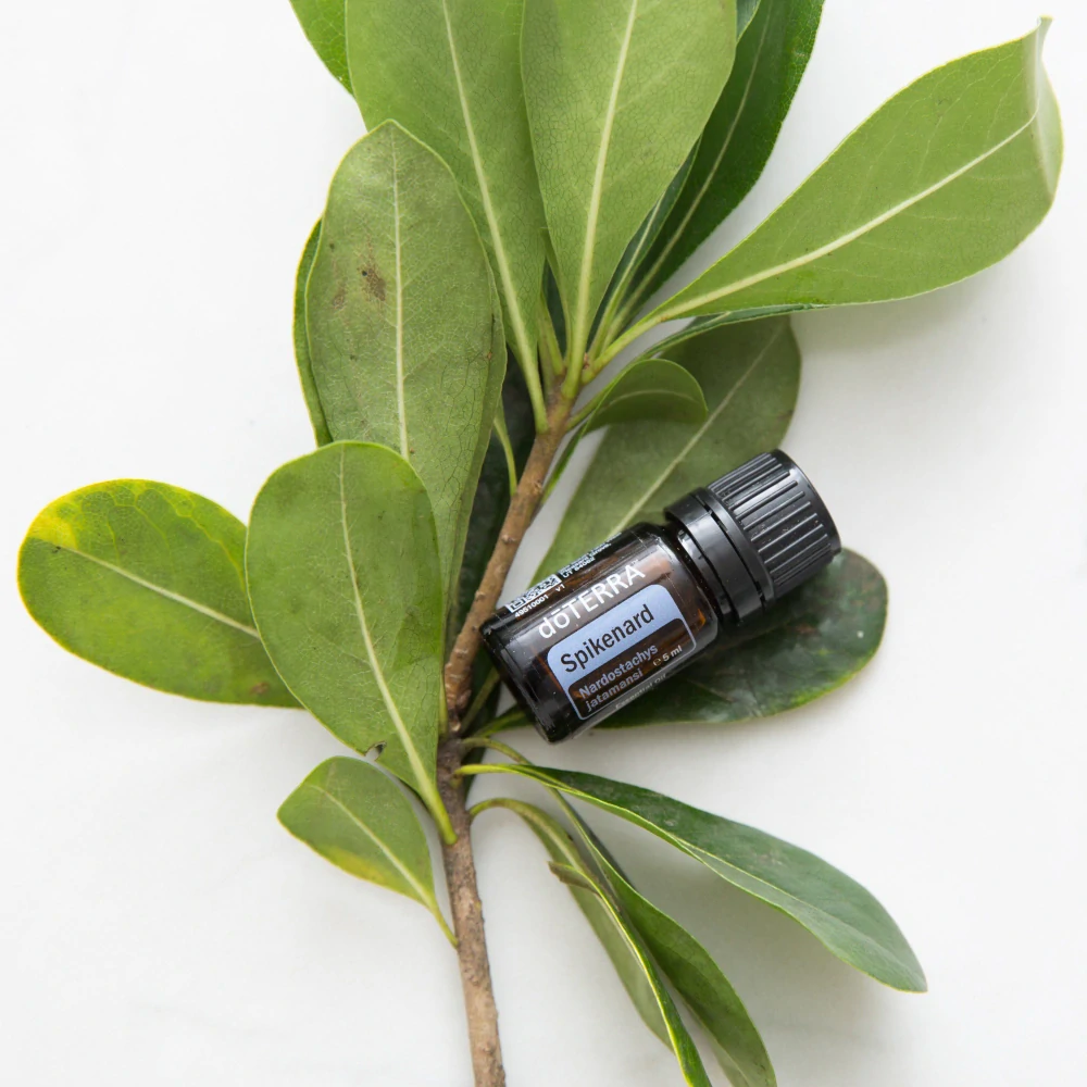 doTerra Esenciální olej Spikenard 5 ml