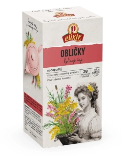Agrokarpaty Ledvinový čaj 20 x 2 g